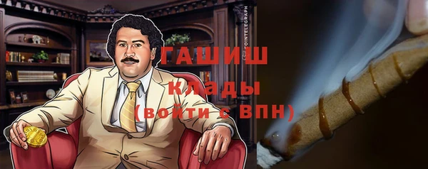 стаф Новокубанск