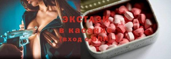 стаф Новокубанск