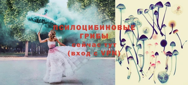 героин Новодвинск