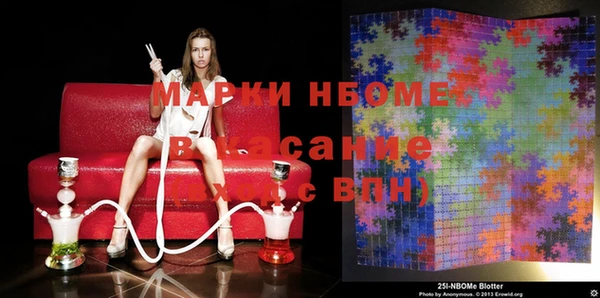 стаф Новокубанск