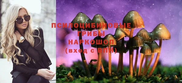 MESCALINE Новозыбков