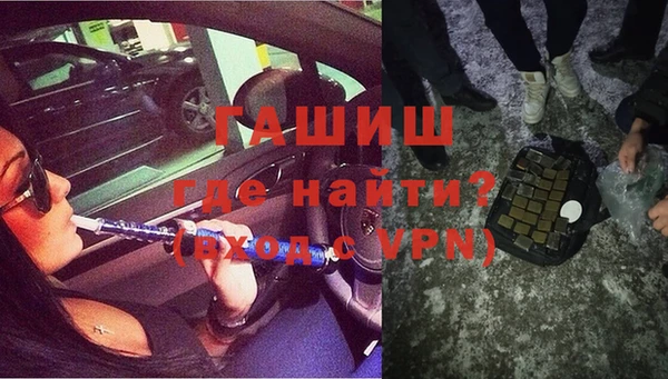 стаф Новокубанск
