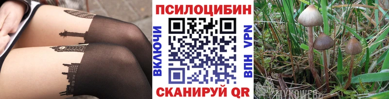 сайты даркнета как зайти  Мичуринск  Галлюциногенные грибы GOLDEN TEACHER  KRAKEN зеркало 