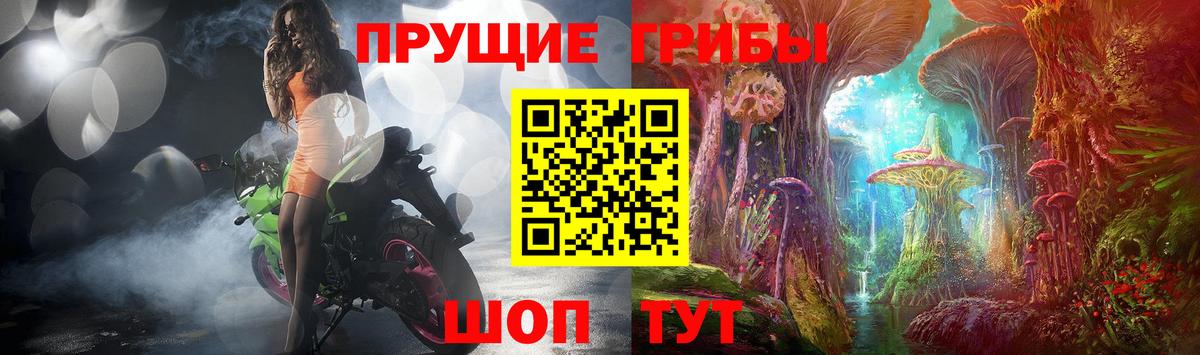 Мичуринск  Галлюциногенные грибы GOLDEN TEACHER  Вход с VPN 